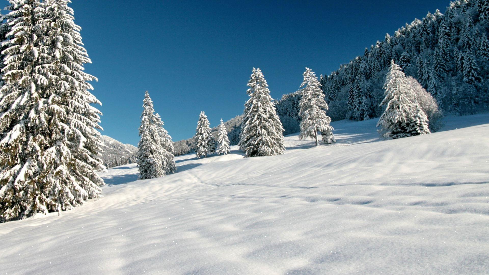 Winterurlaub im Hotel Torghele's Wald + Fluh im Allgäu